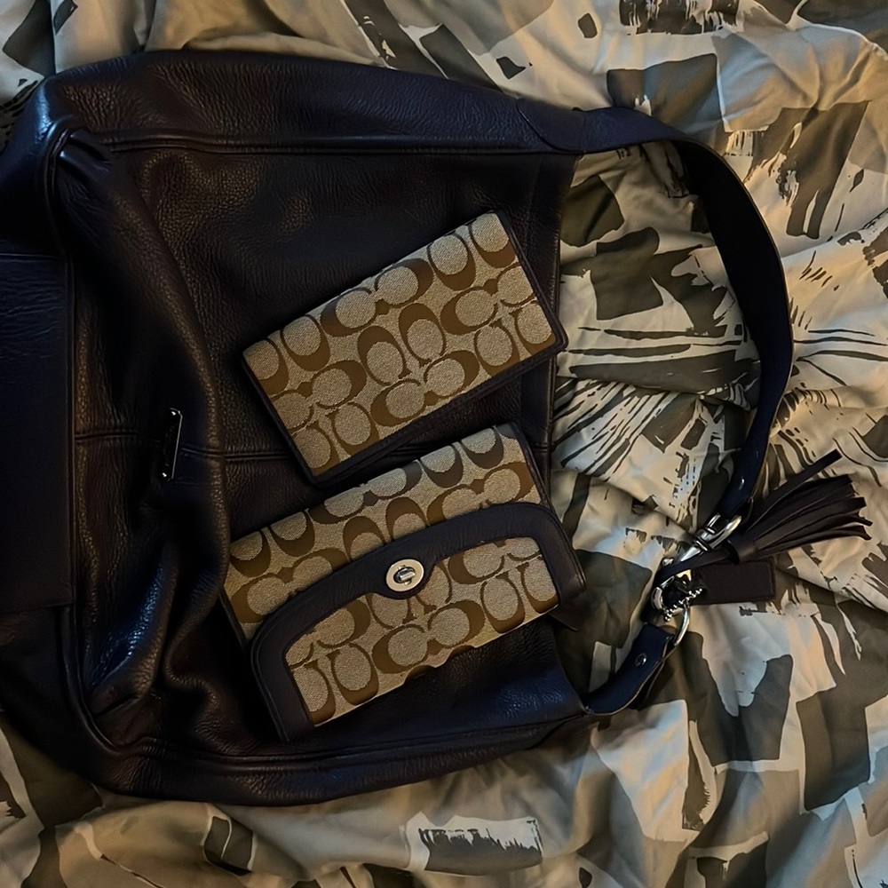 Purple coach bag